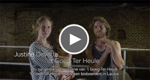 't Goed ter Heule op youtube video tgoedterheule